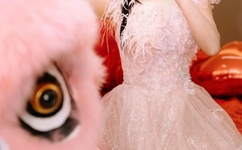 美国疯狂做人爱视频